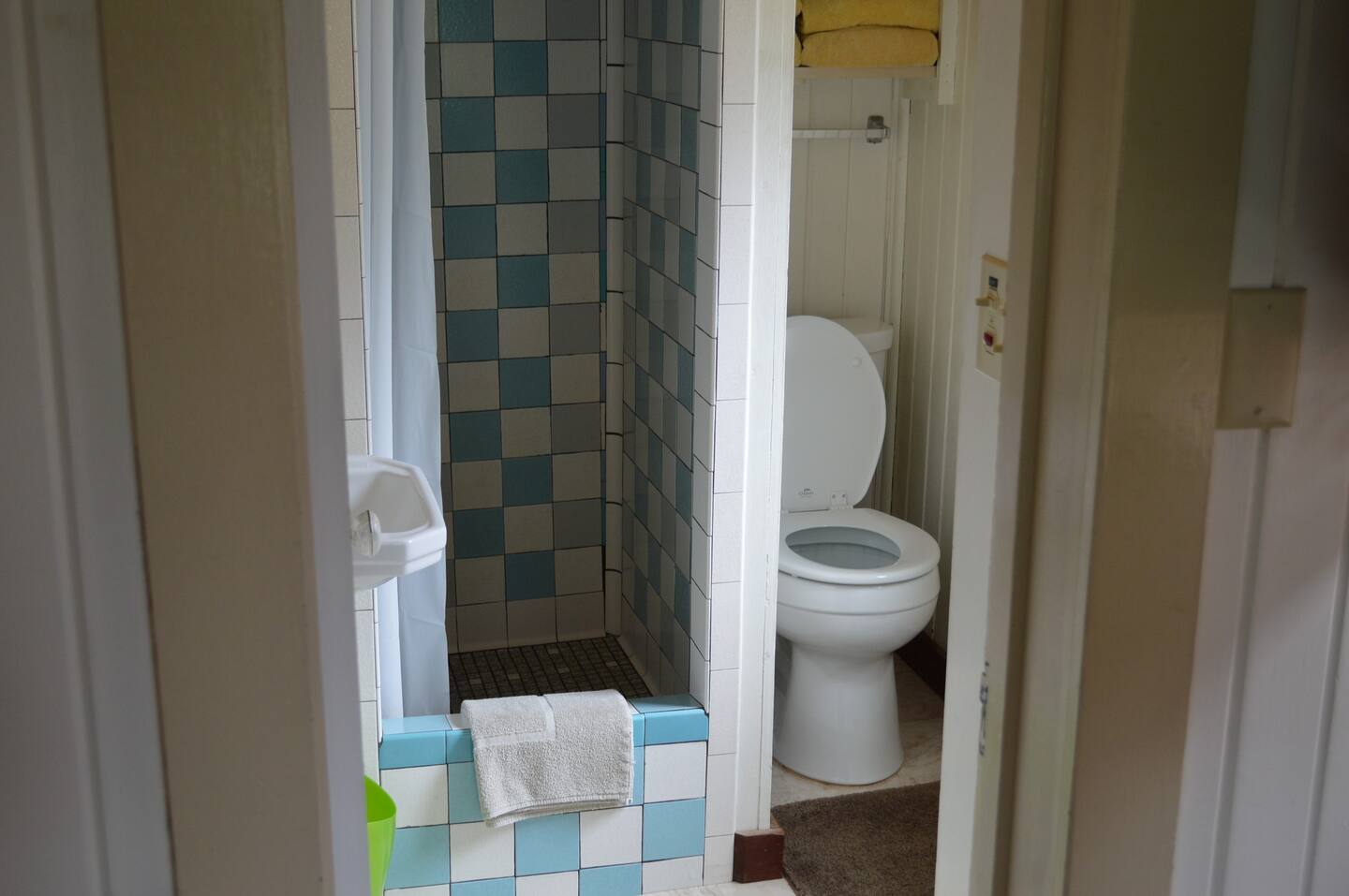 The tiny bathroom open off the living space and includes a small wash basin, toilet, and tiled shower.